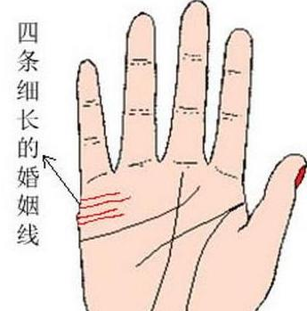 婚姻线4条