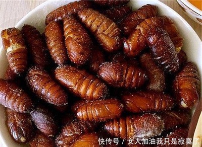 怀孕能吃蚕蛹吗