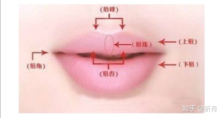 上嘴唇突出面相