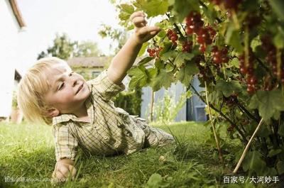 小宝宝咳嗽可以吃葡萄吗,六个月的宝宝咳嗽可以喝梨水吗?