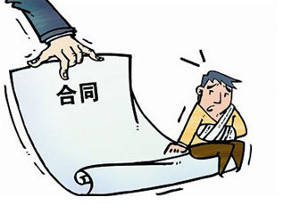 法人和股东承担的责任