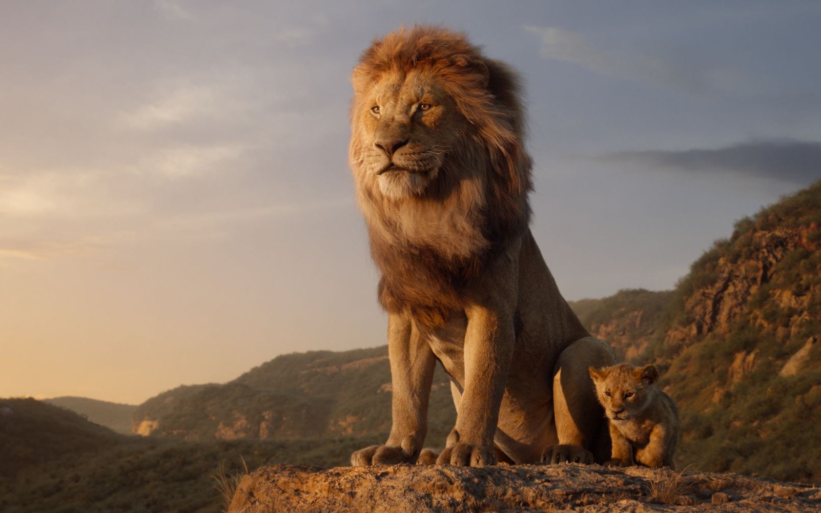 7881官网登录入口
