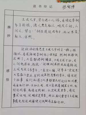 实践作业记录怎么写