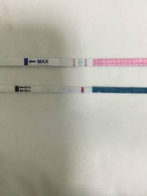 每个月都排卵吗