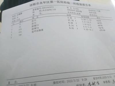 怀孕24周每天吃多少