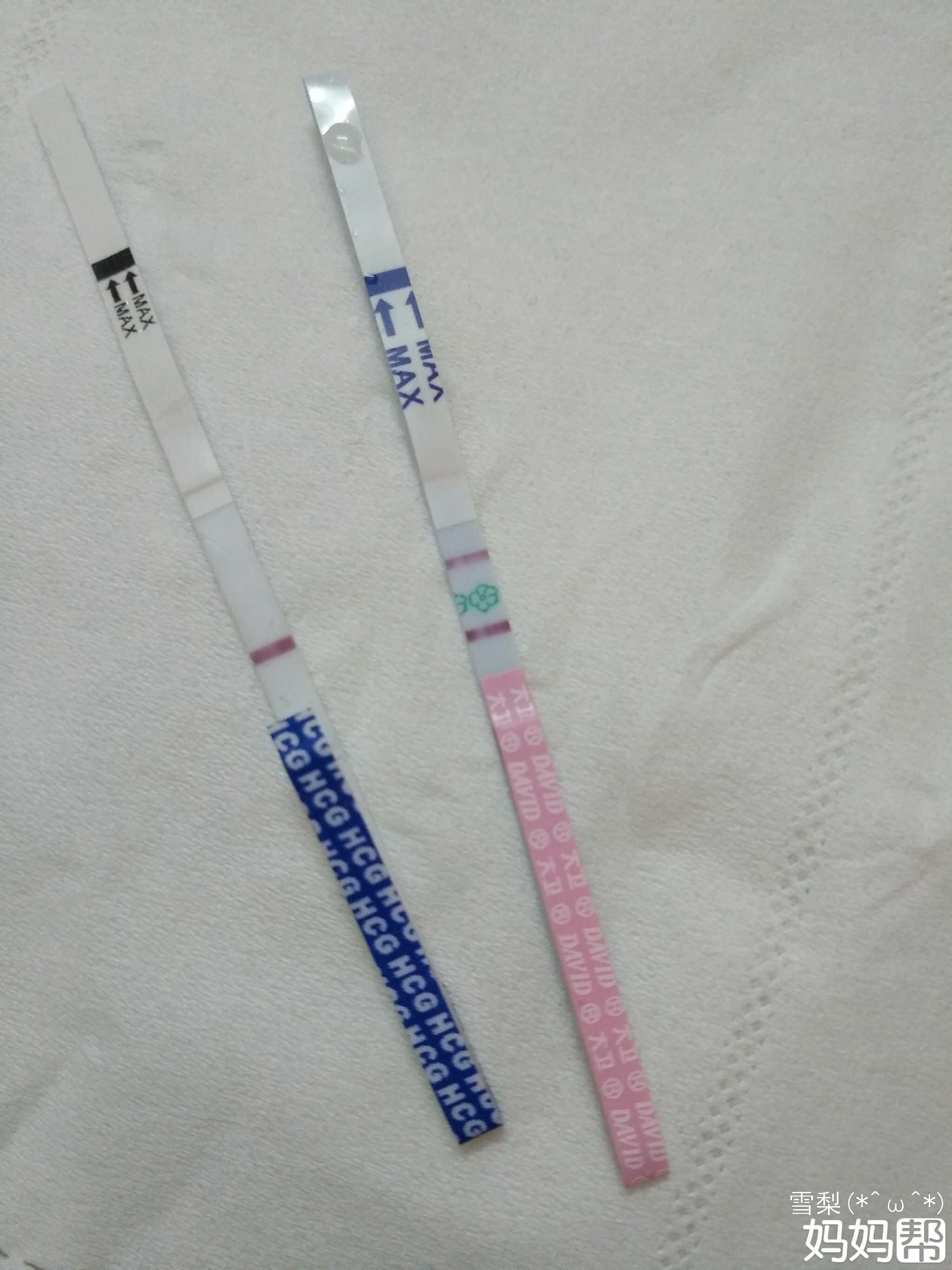 月经前几天是排卵期吗