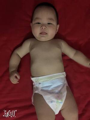 宝宝6个月多高