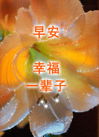 用鲜花说早安句子怎么说