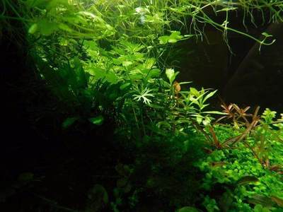 厨房北方可以放水槽吗