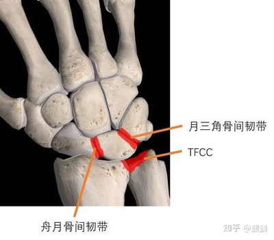 容易不耐烦的人性格