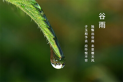 谷雨的寓意