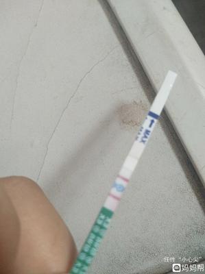 怀孕试孕纸图片