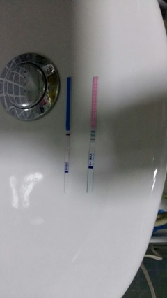 排卵期不是排卵日会怀孕吗