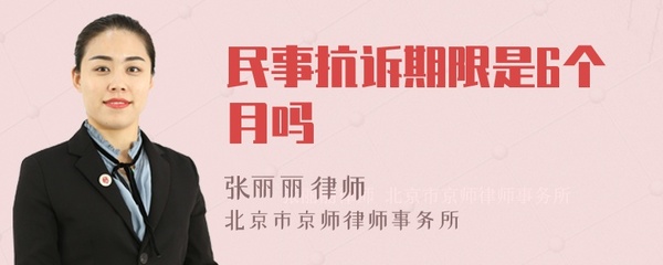 民事抗诉期限 6个月