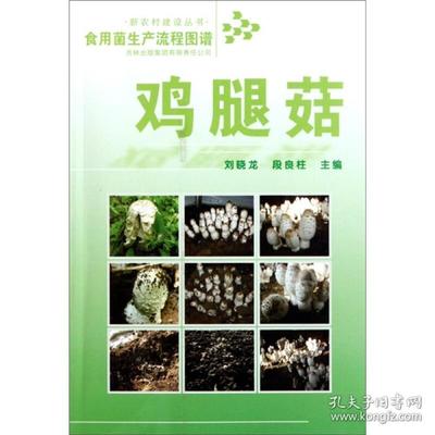 注册验船师应享受的级别