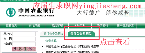 农业银行招聘怎么申请职位