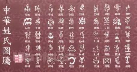 现代何姓名人