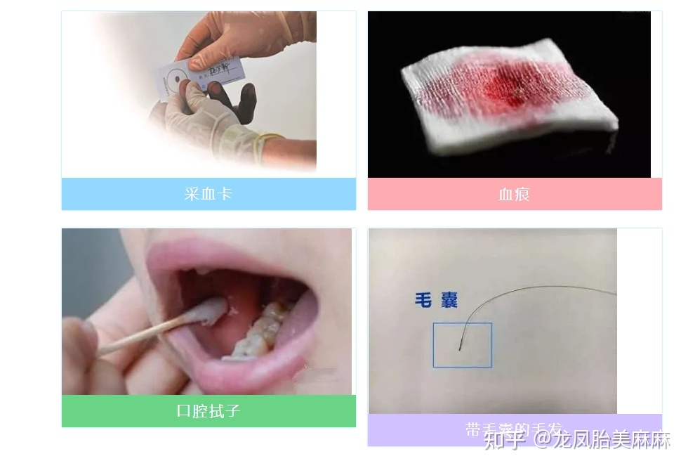 亲子鉴定需要什么东西