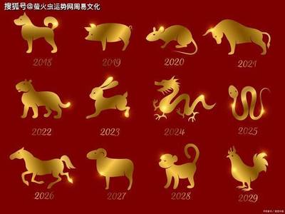 天的生肖