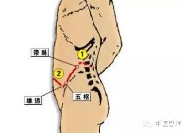 敲带脉减肥