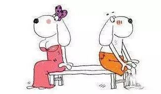 循规蹈矩是什么生肖