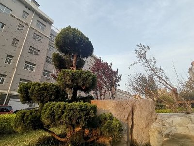 青云瑞景园二手房