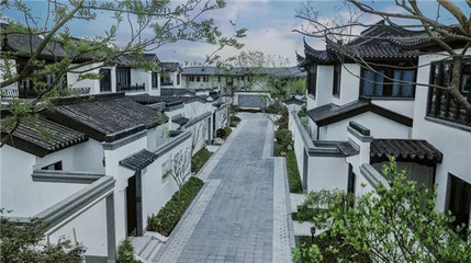 杭州 桃李春风