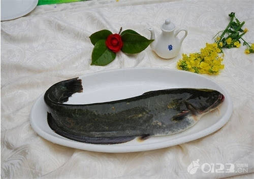 孕妇鱼翅可以吃吗