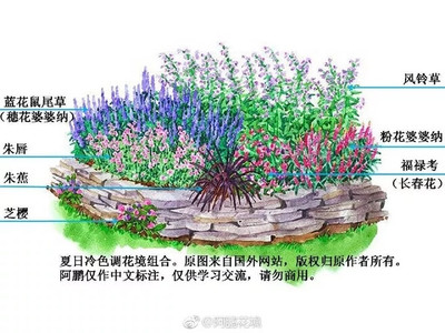 花境设计说明