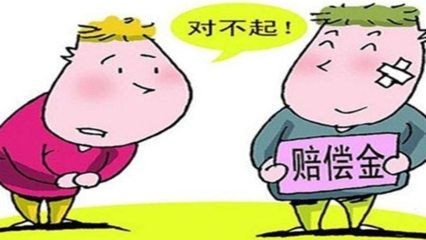 民事赔偿赔不起怎么办