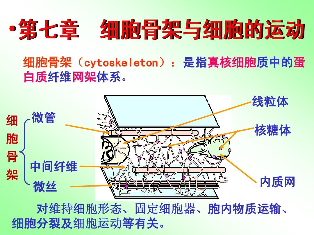 网架的定义（网架结构与传统结构对比，网架结构与传统结构对比对比） 钢结构钢结构螺旋楼梯设计 第1张