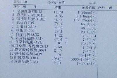 保肝降酶住院治疗花费需要多少钱