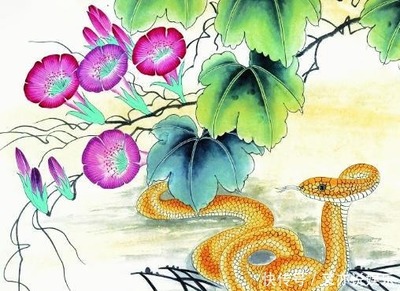 属蛇的贵人属相