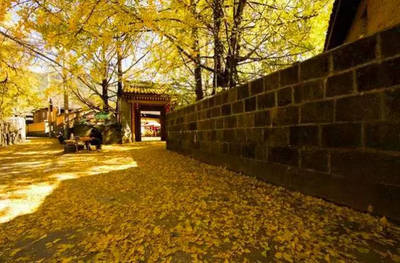 腾冲旅游介绍