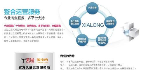 seo排名优化公司