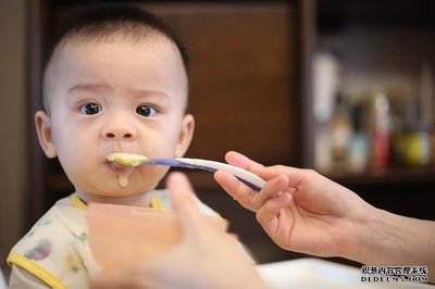 宝宝蛋白质过敏吃什么辅食