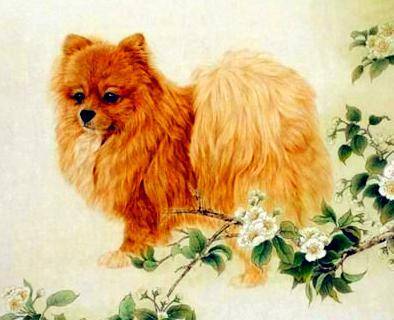 70年属狗今日财运