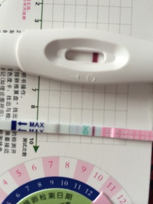 围排卵期是什么意思