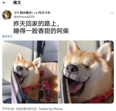 梦见吃自己的屎