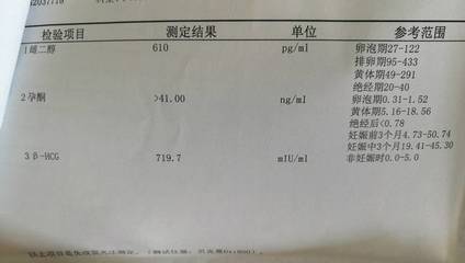 卵泡期 排卵期