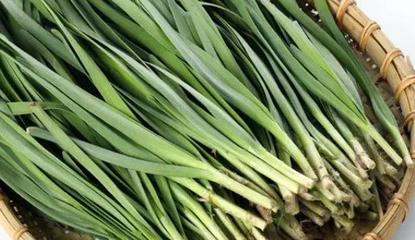 家庭厨房纸栽培蔬菜