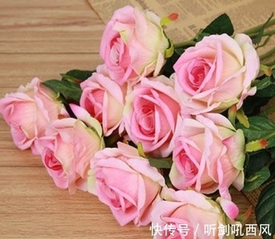 男属猪女属虎八字合吗