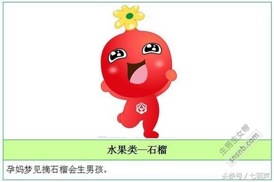 怀孕梦见石榴