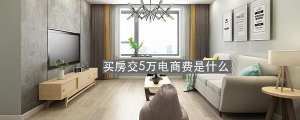 买房交5万电商费是什么
