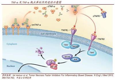 验船师能力考核指标是什么