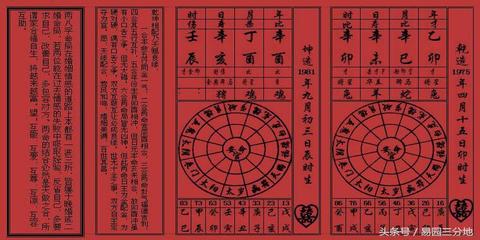 属虎五行