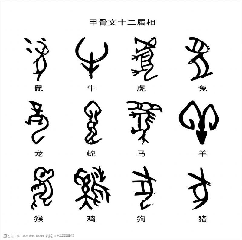 心字打一生肖是什么