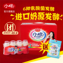 一岁宝宝可以喝小样乳酸菌吗