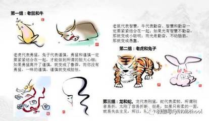 教师代表什么生肖