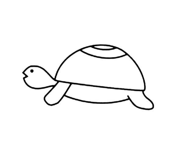 乌龟的画法简笔画 